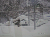 s_PICT0011_thumb.png